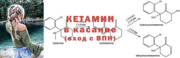 спиды Бронницы